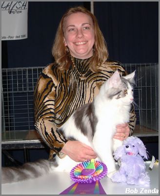 Jencat's Junior Mint
